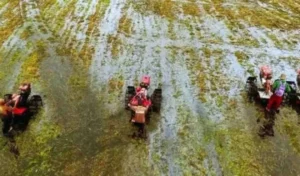 BMKG Imbau Petani Manfaatkan Musim Hujan Lebih Panjang untuk Maksimalkan Hasil Panen