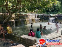 Wisata Alam Murah Meriah: Segarnya Mata Air Sumber Ece Sukoharjo, Destinasi Favorit Keluarga di Tulungagung